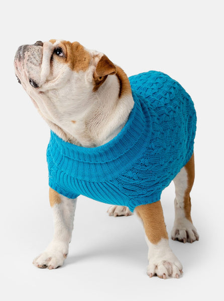 Plain Turquoise Jumper