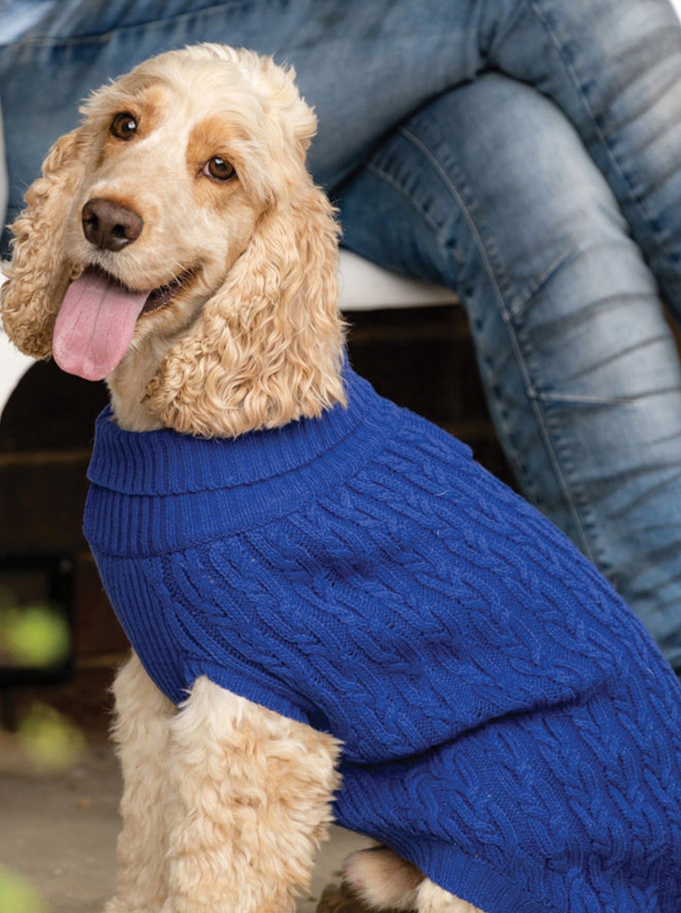 Plain Blue Jumper