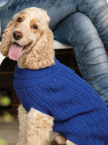 Plain Blue Jumper