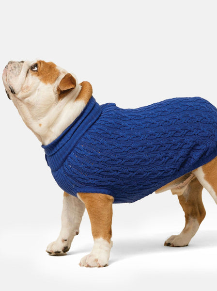 Plain Blue Jumper