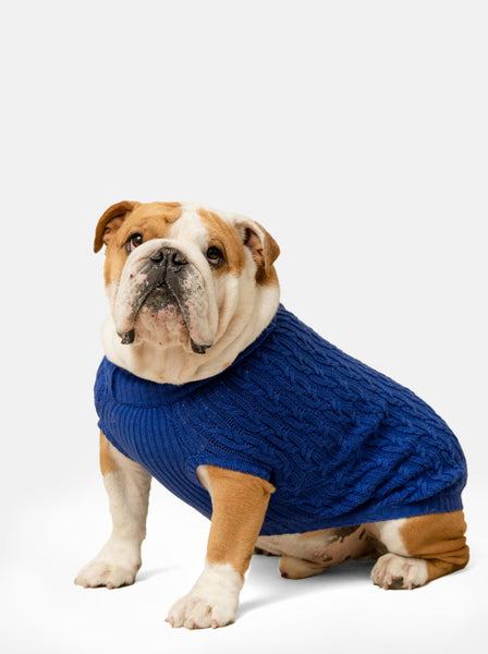 Plain Blue Jumper
