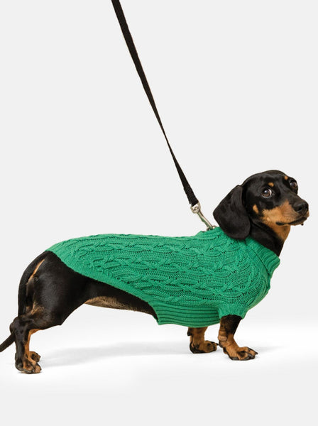 Green Miniature Dachshund Jumper