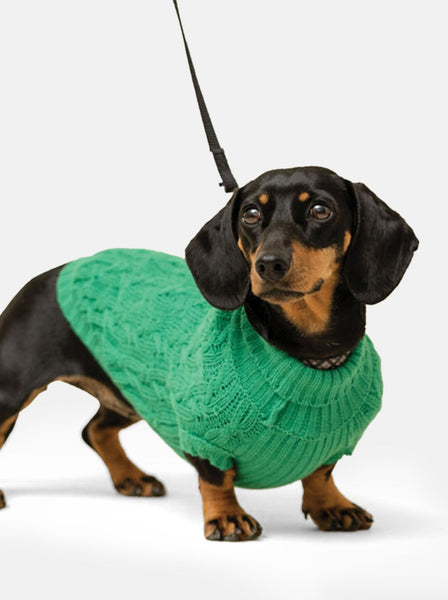 Green Miniature Dachshund Jumper