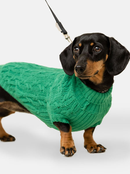 Green Miniature Dachshund Jumper