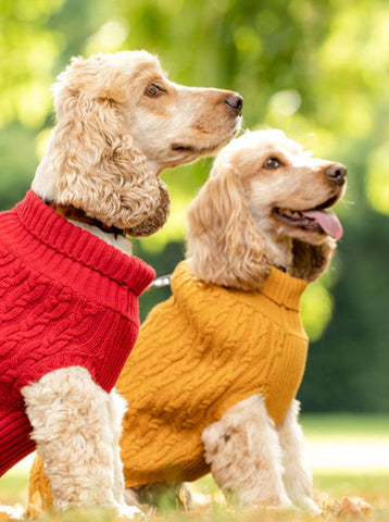 Plain Mustard Jumper