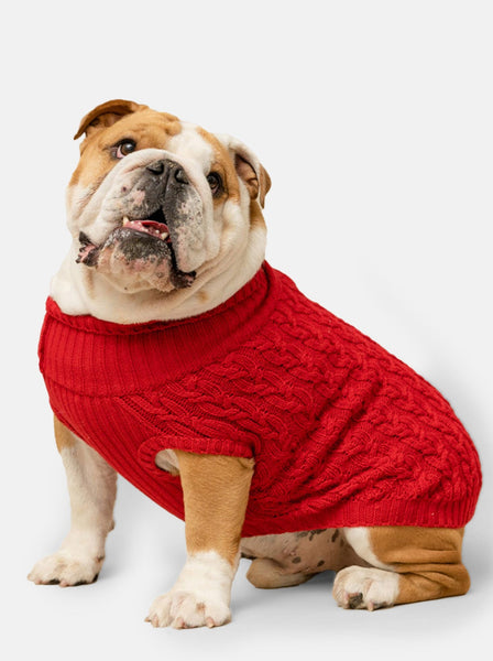 Plain Red Jumper