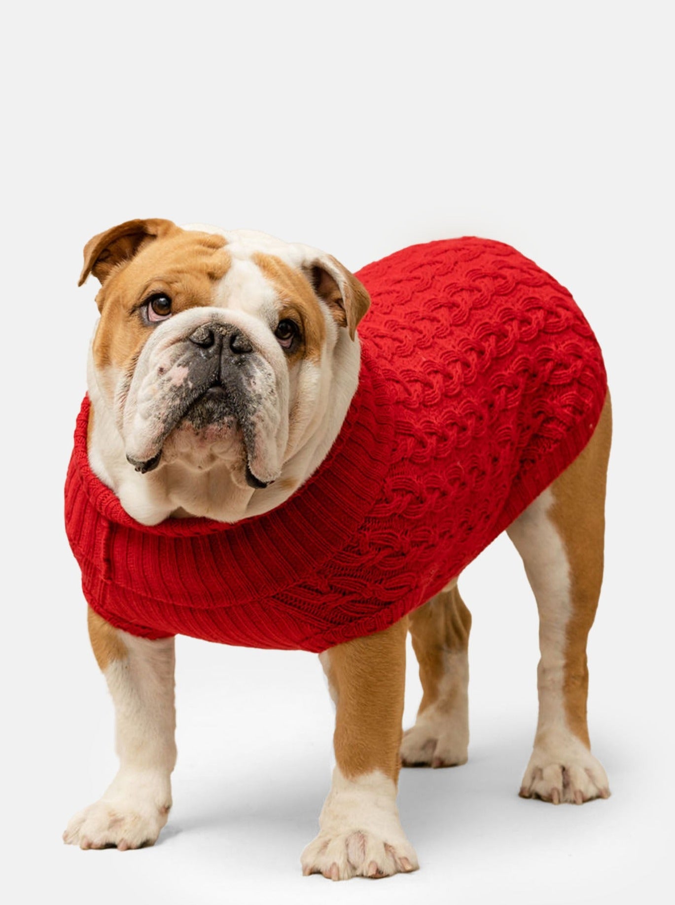 Plain Red Jumper