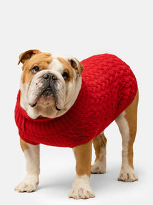 Plain Red Jumper