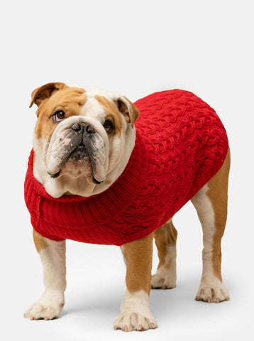 Plain Red Jumper