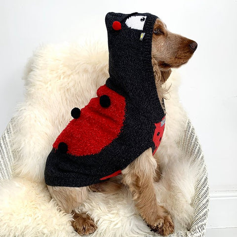Ladybird
