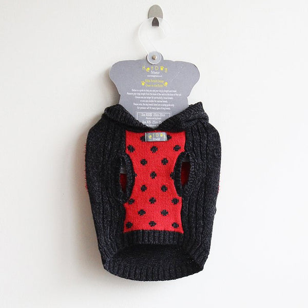 Ladybird