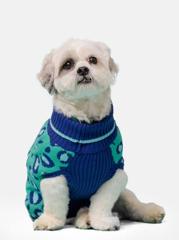 Leo Jumper