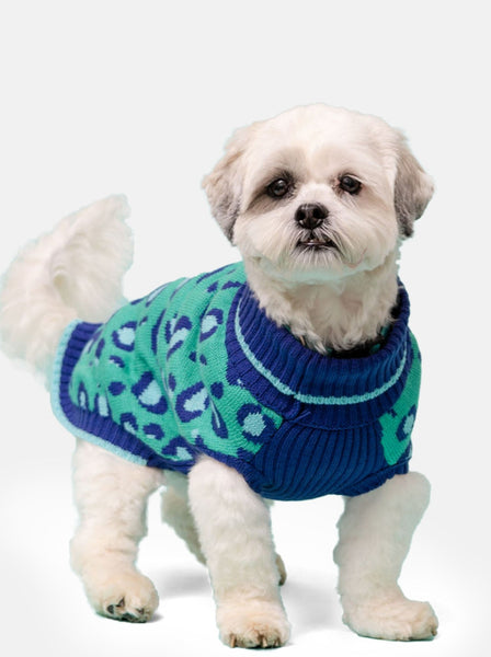 Leo Jumper