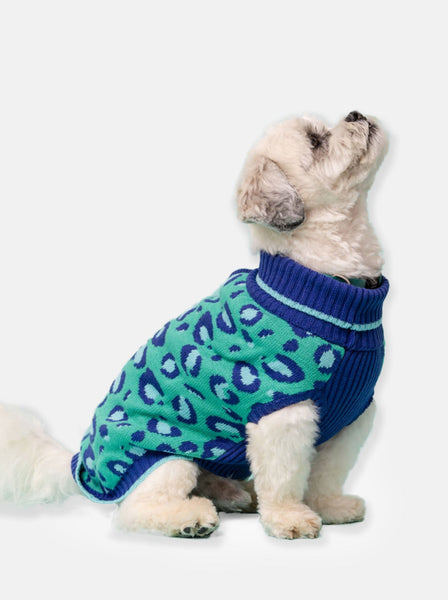 Leo Jumper