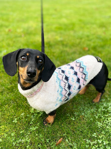 Lumi Miniature Dachshund Jumper