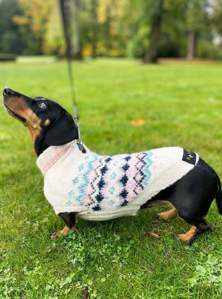 Lumi Miniature Dachshund Jumper
