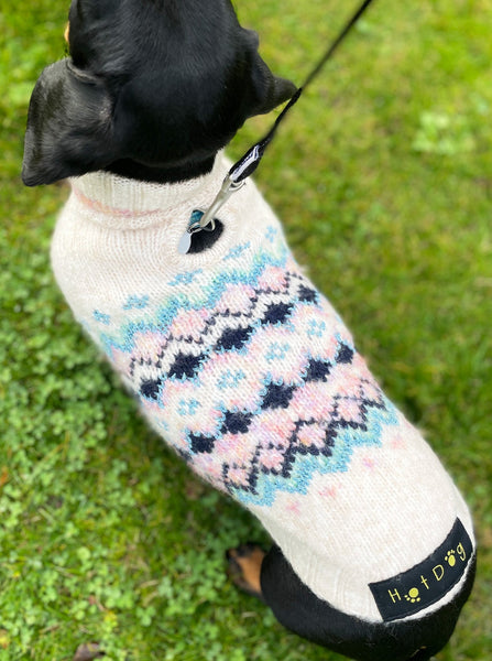 Lumi Miniature Dachshund Jumper