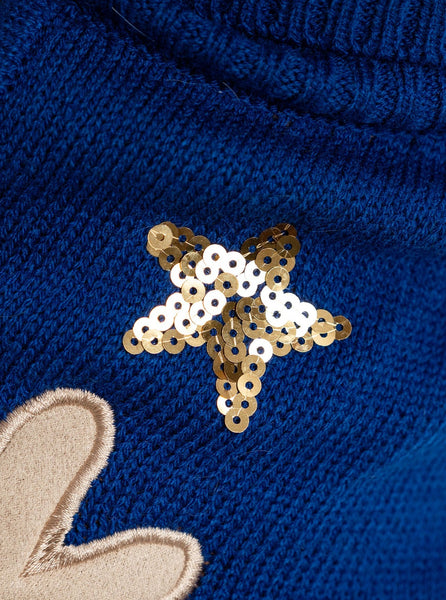 Rudolf Navy Dog Jumper