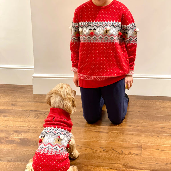 Nordic Family Owner Jumpers