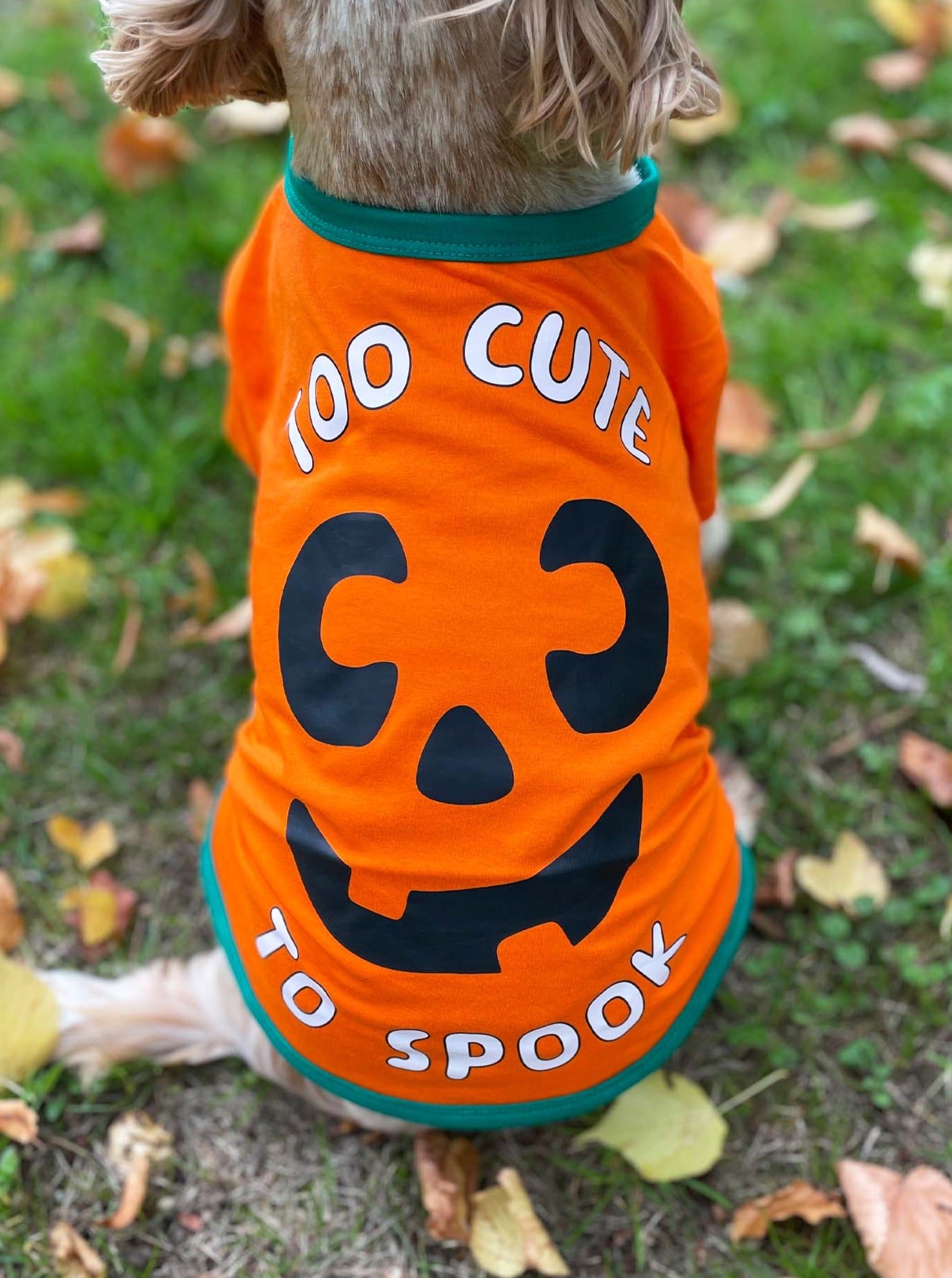 Halloween Pumpkin Dog T-Shirt