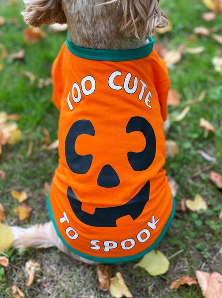 Halloween Pumpkin Dog T-Shirt