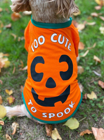 Halloween Pumpkin Dog T-Shirt
