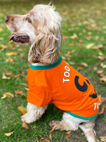 Halloween Pumpkin Dog T-Shirt