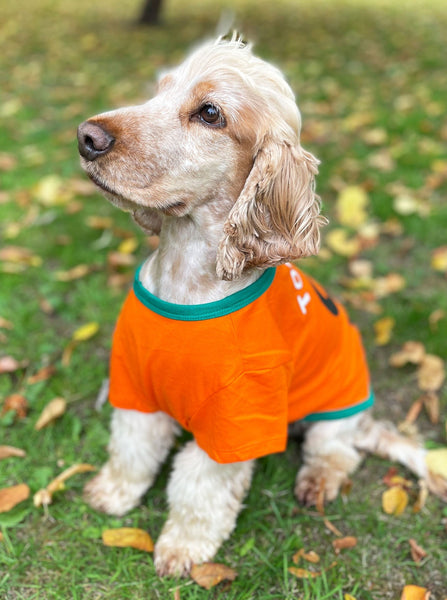Halloween Pumpkin Dog T-Shirt