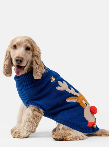 Rudolf Navy Dog Jumper