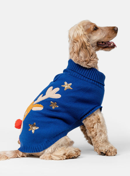 Rudolf Navy Dog Jumper