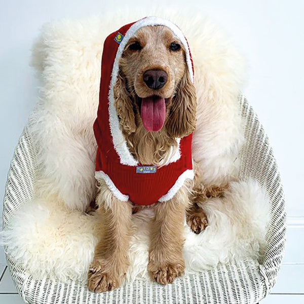 Santa