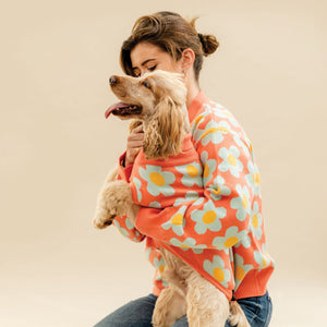 Orangeflower Owner Jumper
