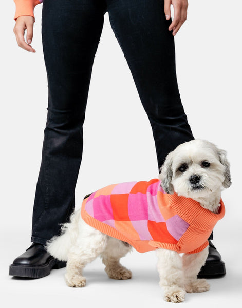 Patch Jumper