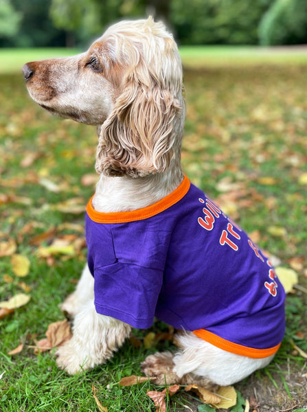 Halloween Tricks For Treats Dog T-Shirt