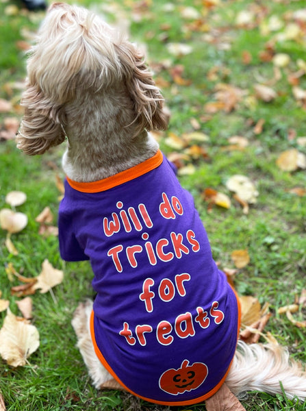 Halloween Tricks For Treats Dog T-Shirt